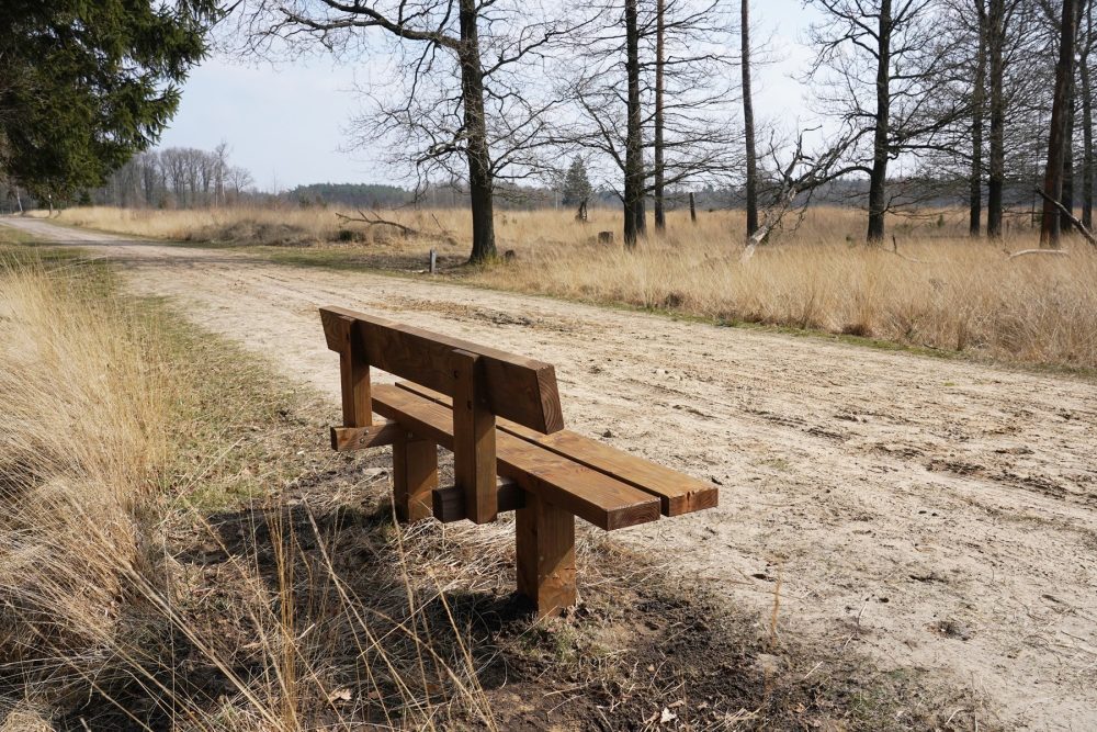 Mobilier urbain : gamme nature confort, le banc